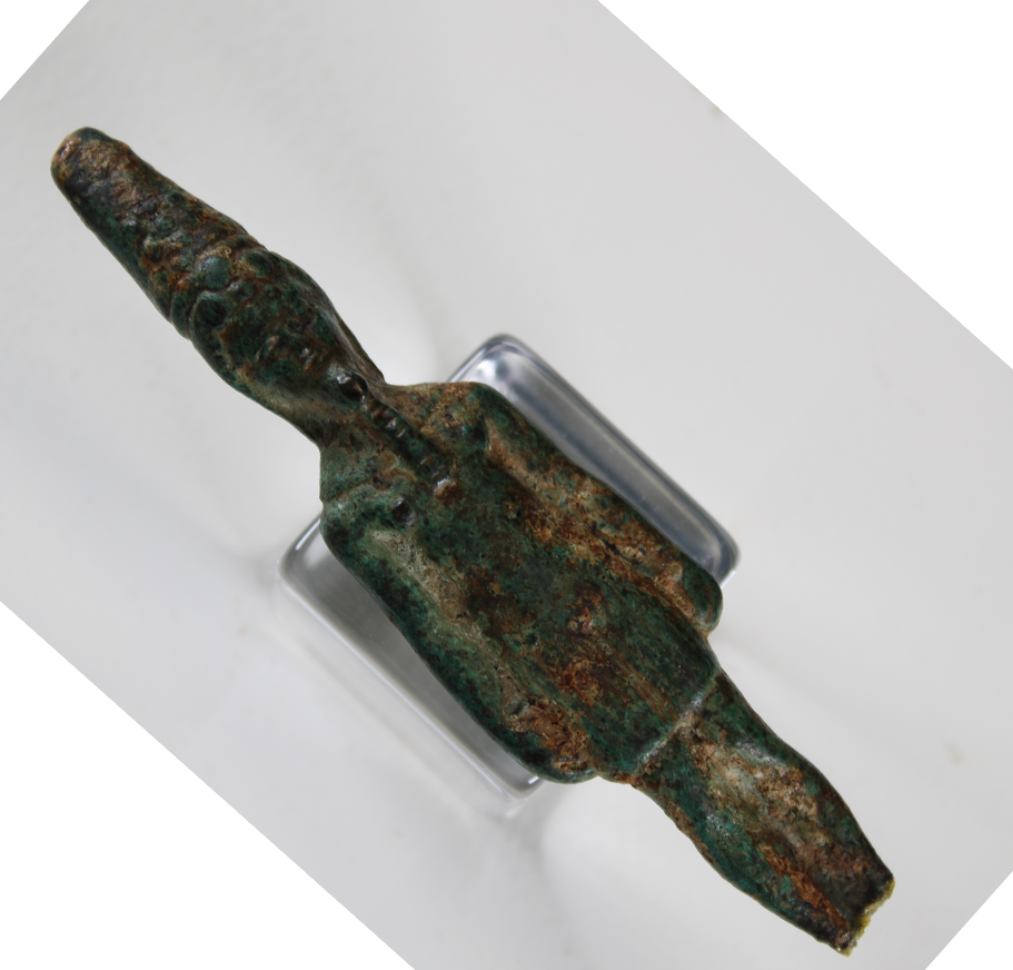 A pair of dear in a thicket of bushes